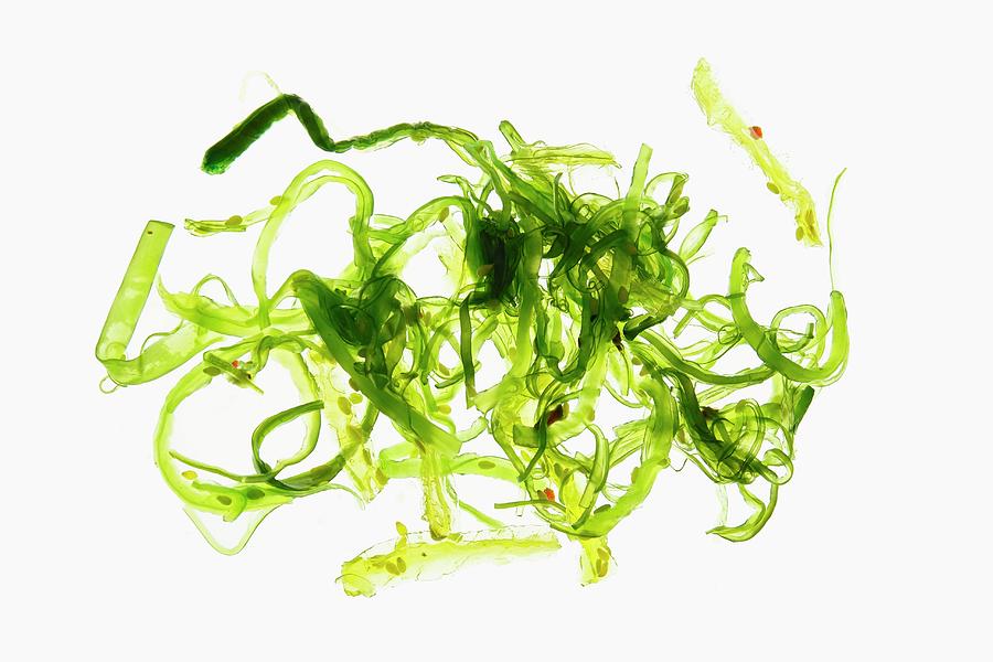 Seaweed Salad On A White Surface Photograph by Petr Gross