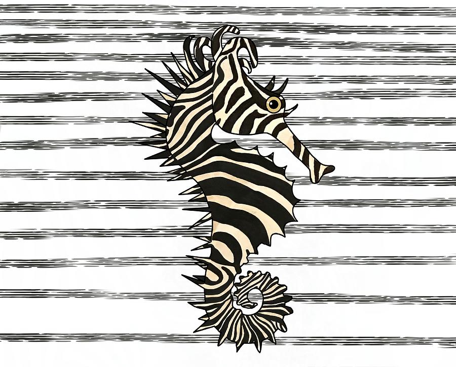 Seahorse SeaZebra Black And White Stripes Drawing by Joan Stratton