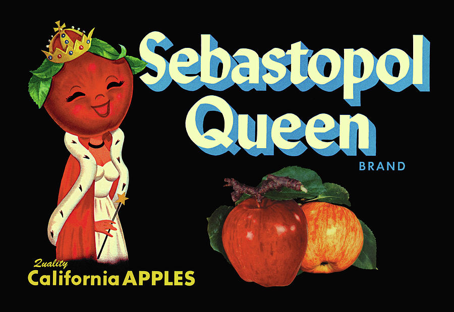 Sebastopol Queen Brand Apples Painting by Unknown