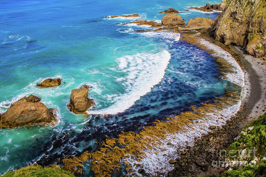 Roaring Bay at Nugget Point Photograph by Lyl Dil Creations