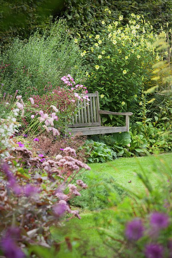 Secluded Garden Seating Area; Wooden Bench Amongst Flowering Bushes Photograph by Sibylle Pietrek
