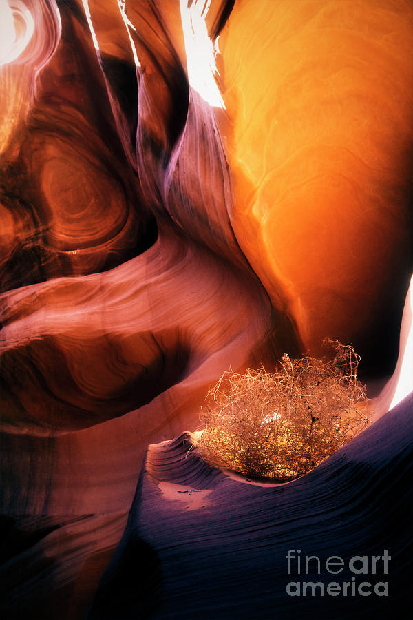 Secluded by Scott Kemper Secluded by Scott Kemper