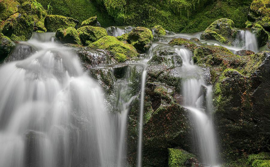 Secluded Waterfall Photograph by David Sams - Fine Art America