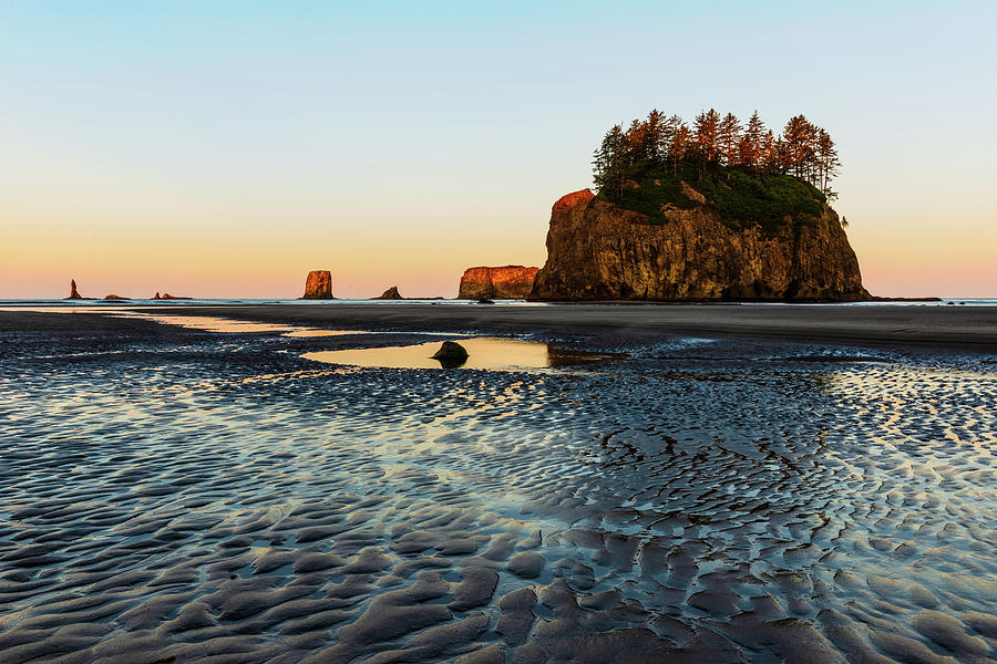 Second Beach, Olympic National Park Digital Art by Michael Lee