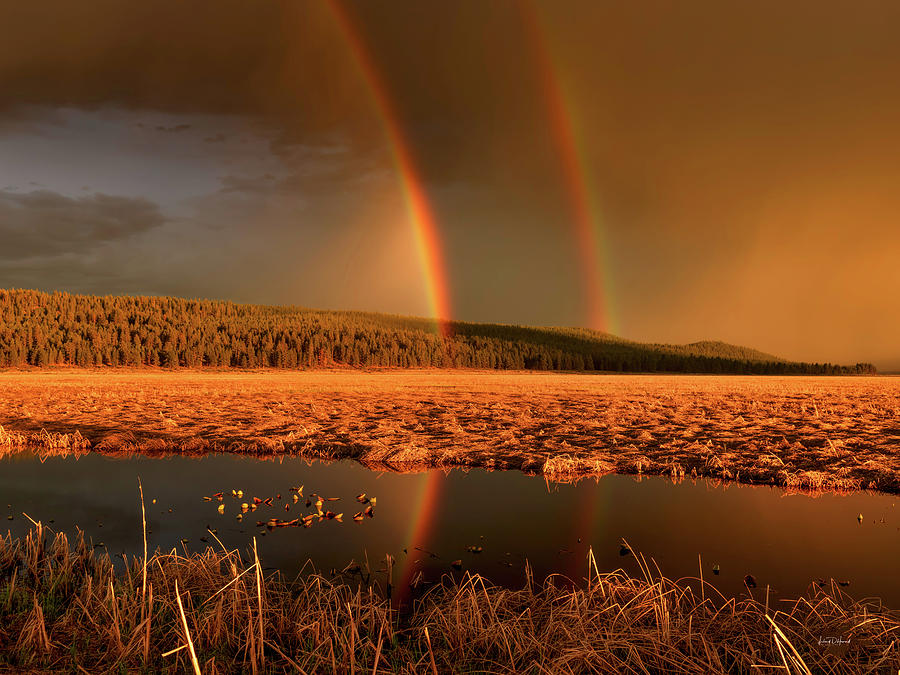 Secondary Rainbow Reflection Photograph by Leland D Howard