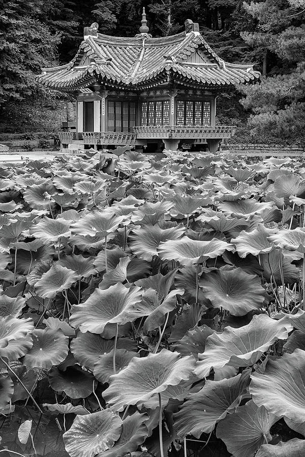 Black And White Photograph - Secret Garden In Black and White by Rick Berk