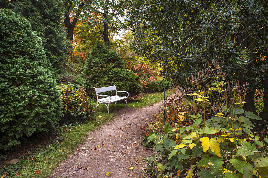 Secret Garden in Fall Time 4 Photograph by Jenny Rainbow