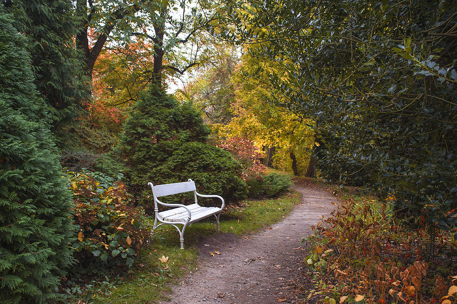 Secret Garden in Fall Time 8 Photograph by Jenny Rainbow