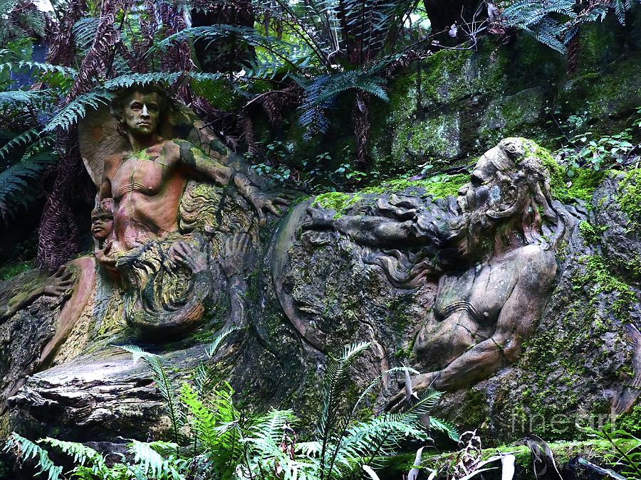 Secret Garden Photograph by Krisztina Toth Secret Garden Photograph by Krisztina Toth