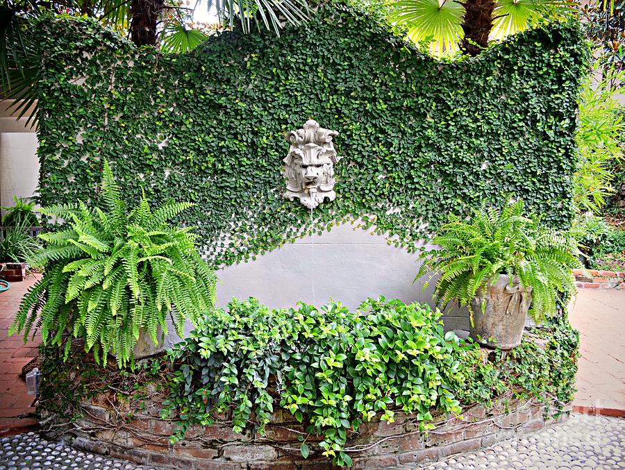 Secret Garden Of Savannah Photograph By Linda Covino