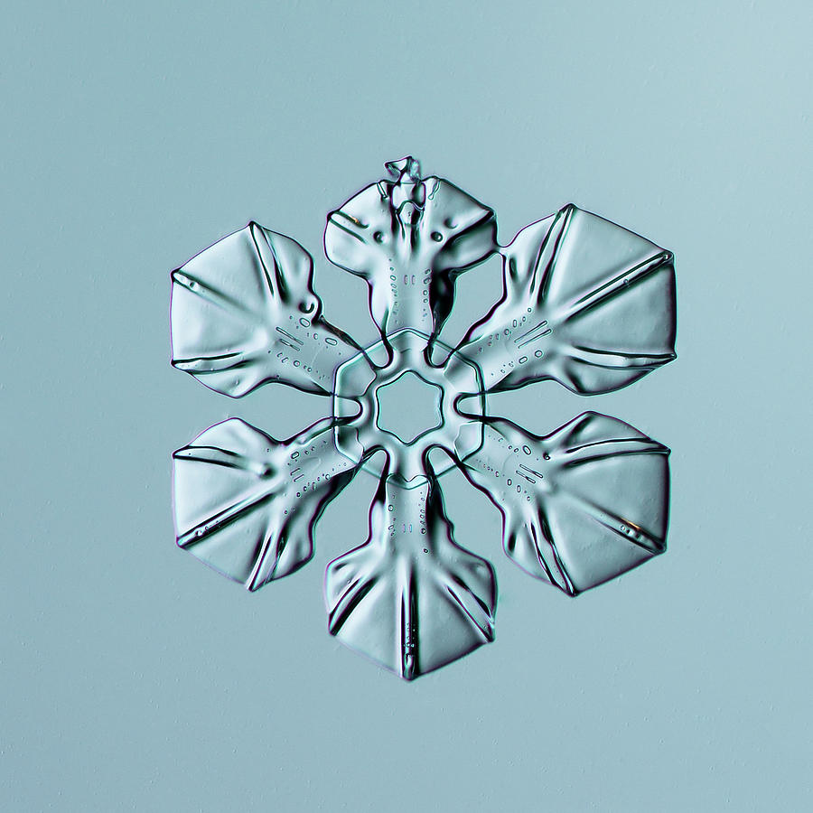 Nature Digital Art - Sectored Plate Snowflake 001.3.02.2014 by Print Collection