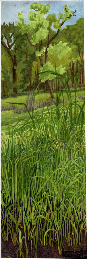 Sedge and a Cottonwood Painting by Alice Ann Barnes