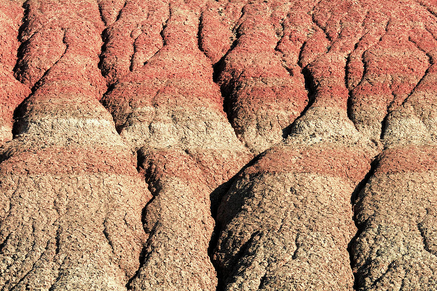 Sedimentary Layers Photograph by Todd Klassy