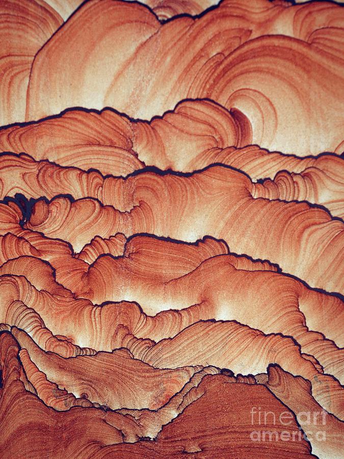 Pattern Photograph - Sedimentary Structures In Sandstone by Sinclair Stammers/science Photo Library