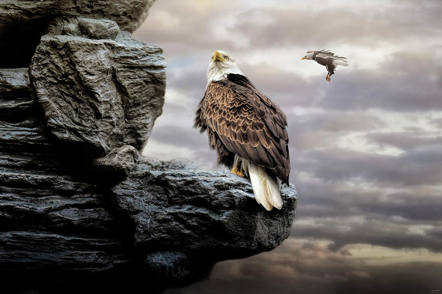 Eagle Photograph - See More Of The World by Jai Johnson