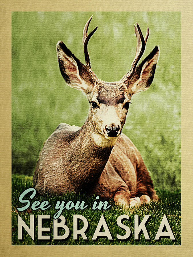 See You In Nebraska Deer Digital Art by Flo Karp Fine Art America