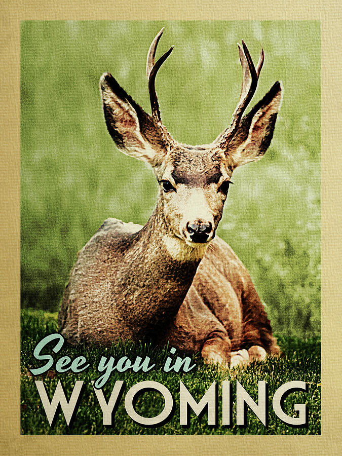 Wildlife Digital Art - See You In Wyoming Deer by Flo Karp