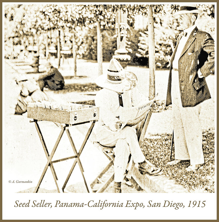 Seed Seller, San Diego Expo, 1915, Vintage Photograph Photograph by A Macarthur Gurmankin