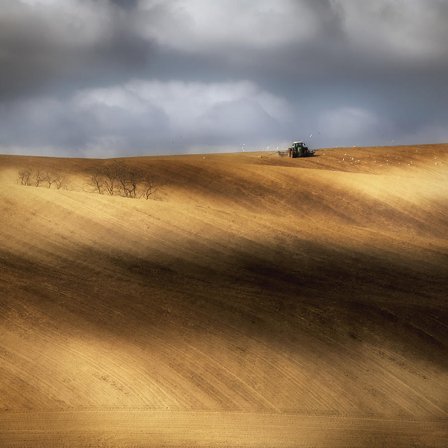 Landscape Photograph - Seeding Time by Piotr Krol (bax)