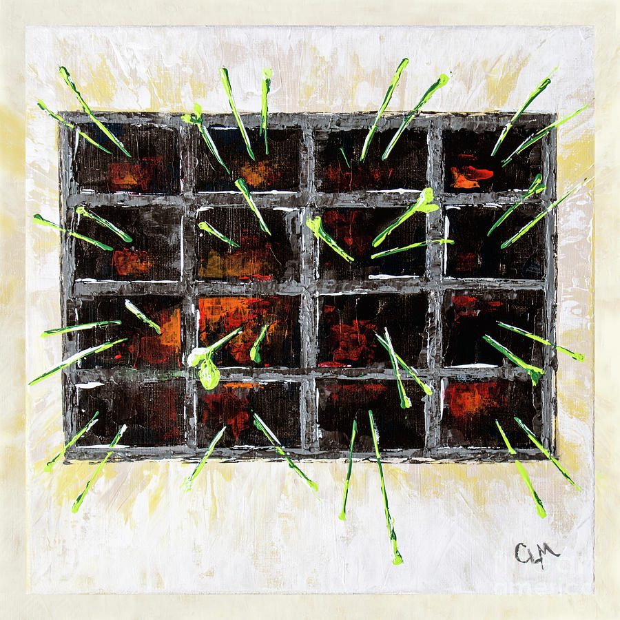 Seedlings by Cheryl McClure Seedlings by Cheryl McClure