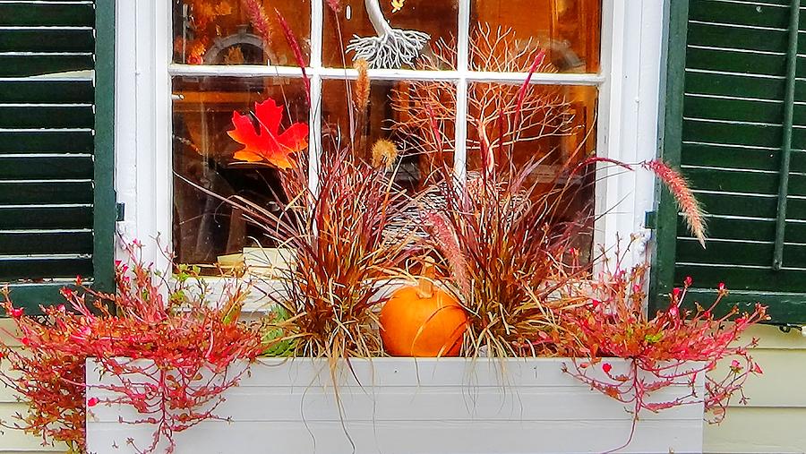 New England Photograph - Seeds Of Abundance by Art By LaRoque New England Photograph - Seeds Of Abundance by Art By LaRoque