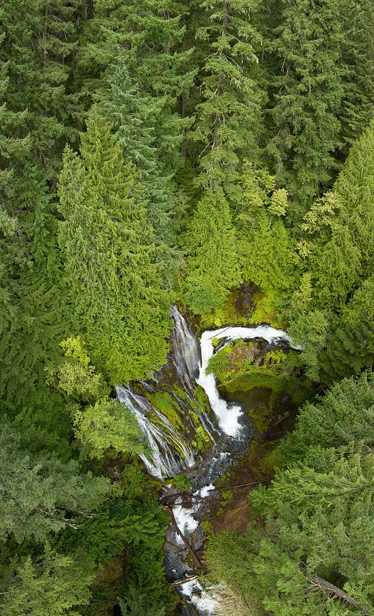 Nature Photograph - Seen From A Birds Eye Perspective by Ethan Daniels