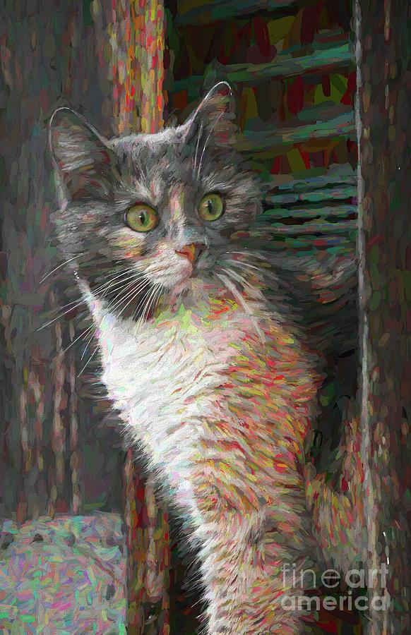 Cat Photograph - Seen In Venice Impasto by Jack Torcello