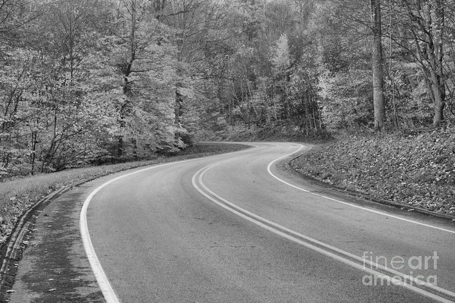 Seen Springs Village Road Fall Foliage Black And White Photograph by Adam Jewell
