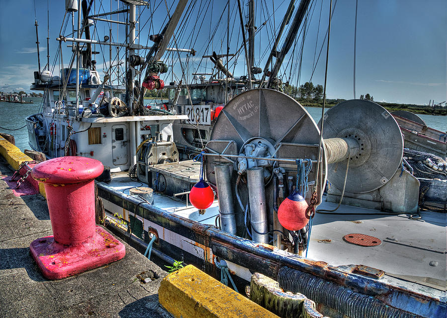 Seiners Dockside Photograph by Doug Matthews