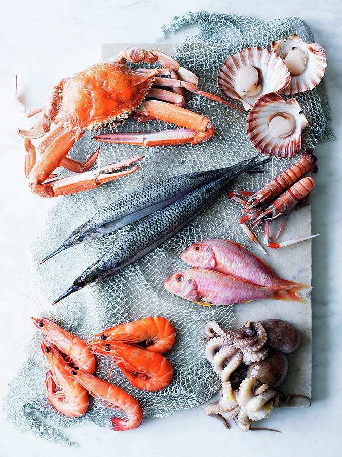 Selection Of Fresh Seafood Photograph by Brett Stevens