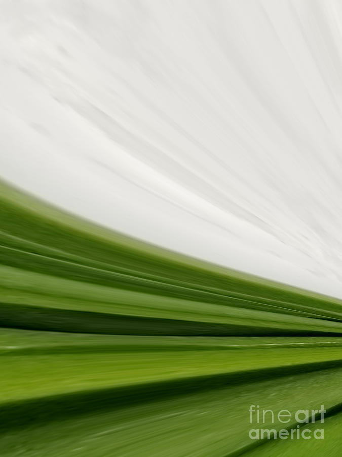 Selenite and Grass Alchemy by Rachel Hannah Selenite and Grass Alchemy by Rachel Hannah