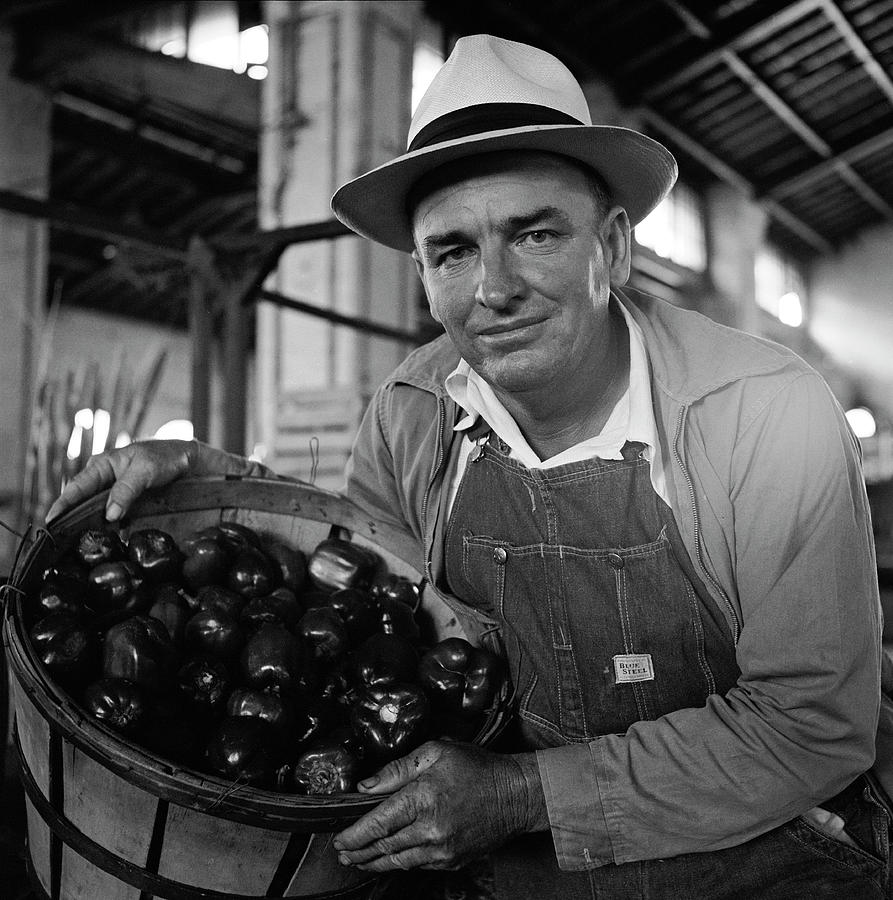 Basket Photograph - Selling Peppers at Savannah City Market by Robert W. Kelley