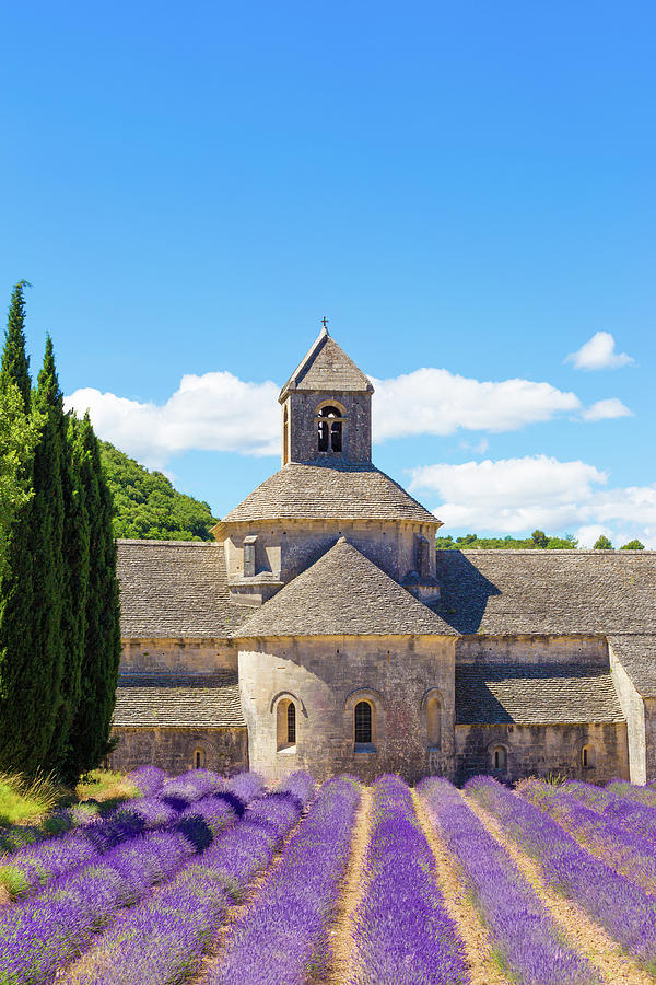 Senanque, Provence, France Photograph by Francesco Riccardo Iacomino