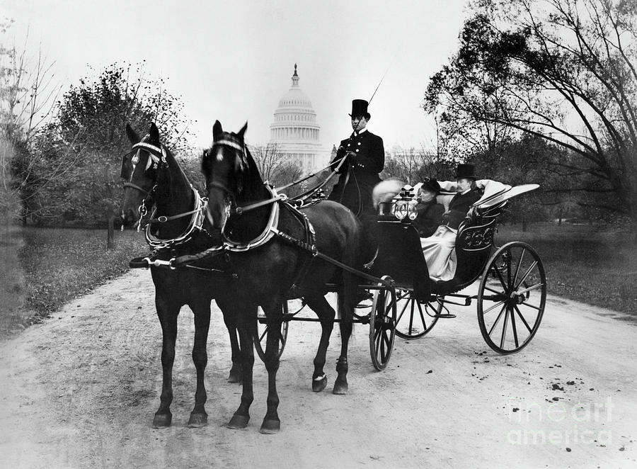 Senator Henderson In Carriage Photograph by Bettmann