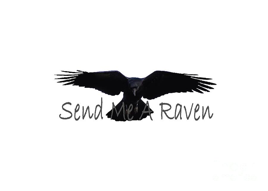 Send A Raven Mixed Media by Ed Taylor