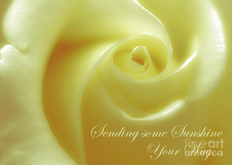 Greeting Photograph - Sending Sunshine by Banyan Ranch Studios Greeting Photograph - Sending Sunshine by Banyan Ranch Studios