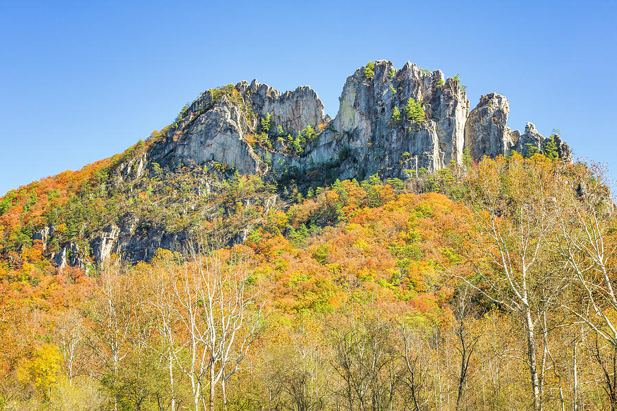 Seneca Rocks in Autumn Photograph by Fran Gallogly