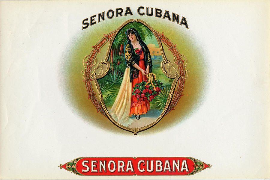 Senora Cubana Painting by Art Of The Cigar