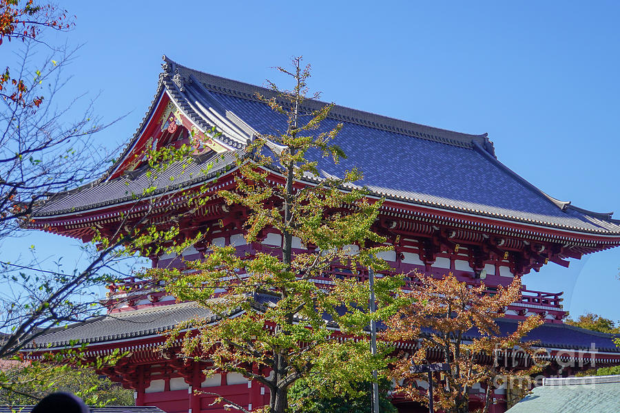 Senso-ji, Temple, Tokyo h1 Photograph by Vladi Alon
