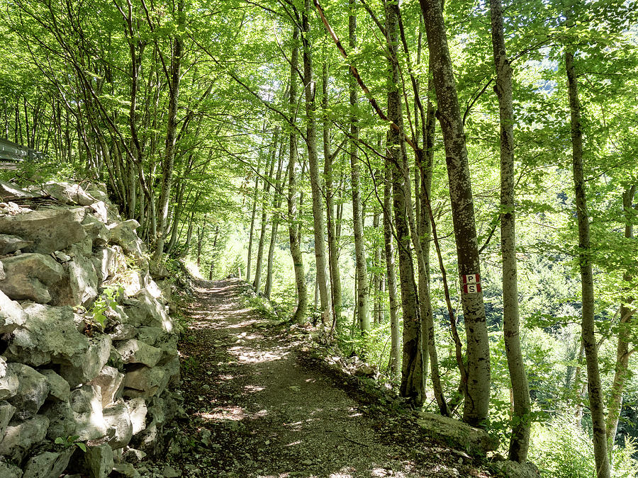 Sentiero Dello Spirito, Trail Leading To Cappella Rupestre Di Ripa Rossa, Majella National Park, Abruzzo, Italy Photograph by Francesca Pagliai