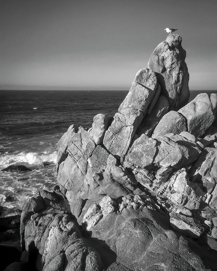 Sentinel by Patrick Cosgrove Sentinel by Patrick Cosgrove