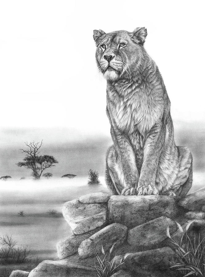 Sentinel by Peter Williams Sentinel by Peter Williams