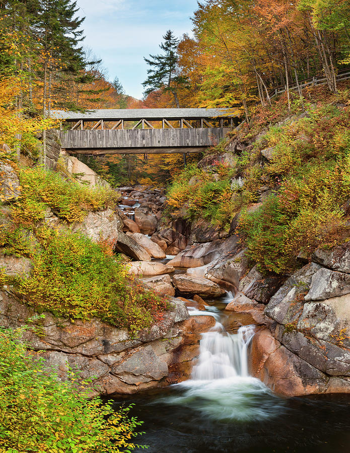 Waterfall Photograph - Sentinel Pine Bridge by Michael Blanchette Photography