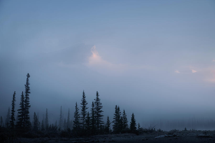 Sentinels Photograph by Dan Jurak