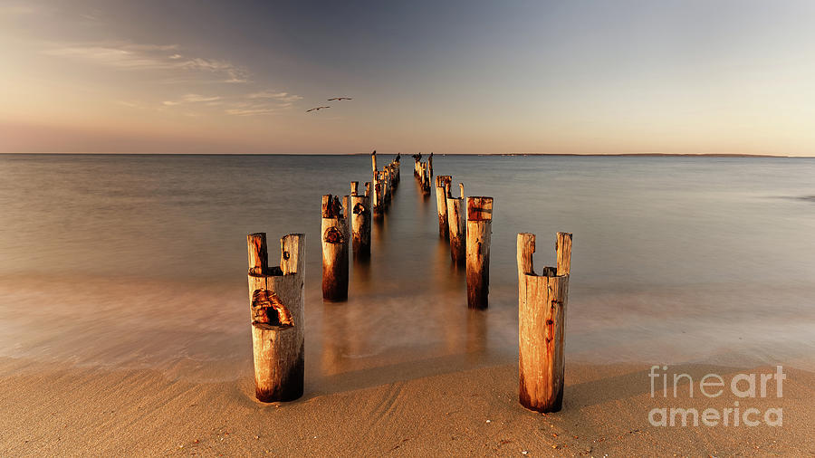 Sentinels of the Sea, Sunrise at Bristol Beach Photograph by Mark OConnell