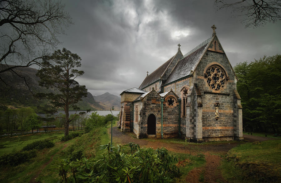 Sentry Photograph by Sylvan Buckley - Fine Art America