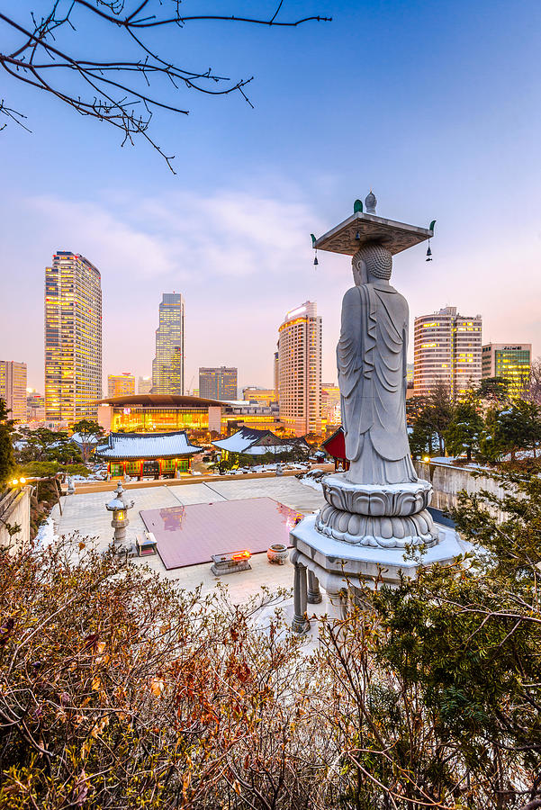 Buddha Photograph - Seoul, South Korea Skyline by Sean Pavone