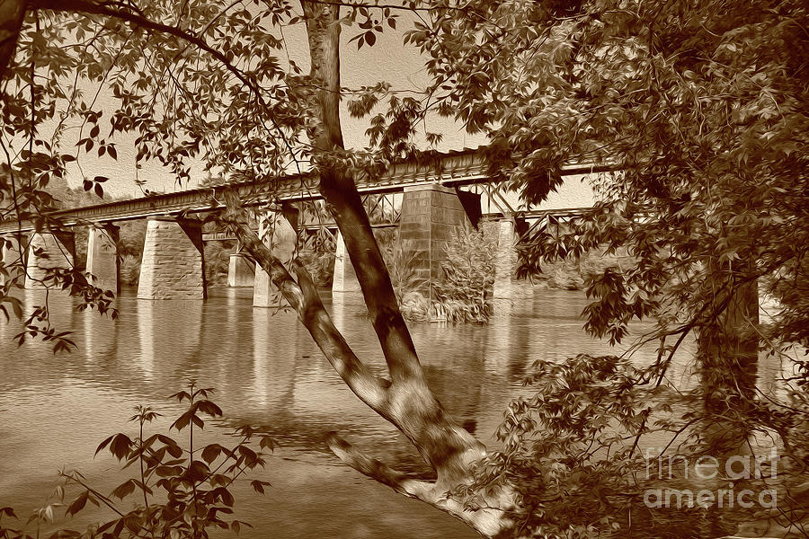 Sepia Painted Trestles Photograph