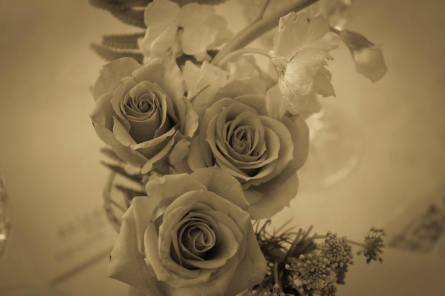 Sepia Roses Photograph by Carolyn Ricks