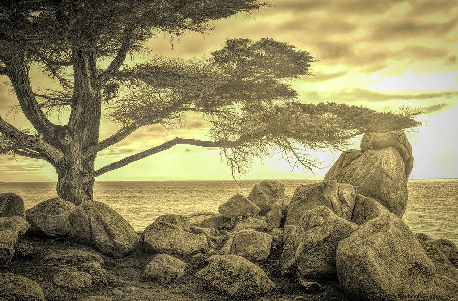 Sepia Seaview Monterey Peninsula  Digital Art by Barbara Snyder